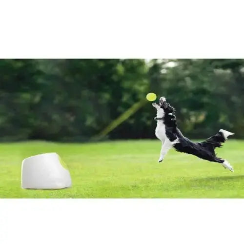 Hyper Fetch Maxi Dog Ball Thrower - Large Interactive Pet Toy Launcher CobraDobra