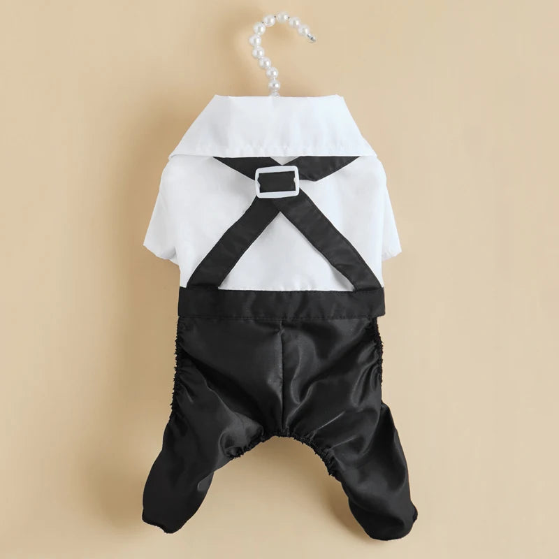 SUIT for Small Dogs/CAT CobraDobra