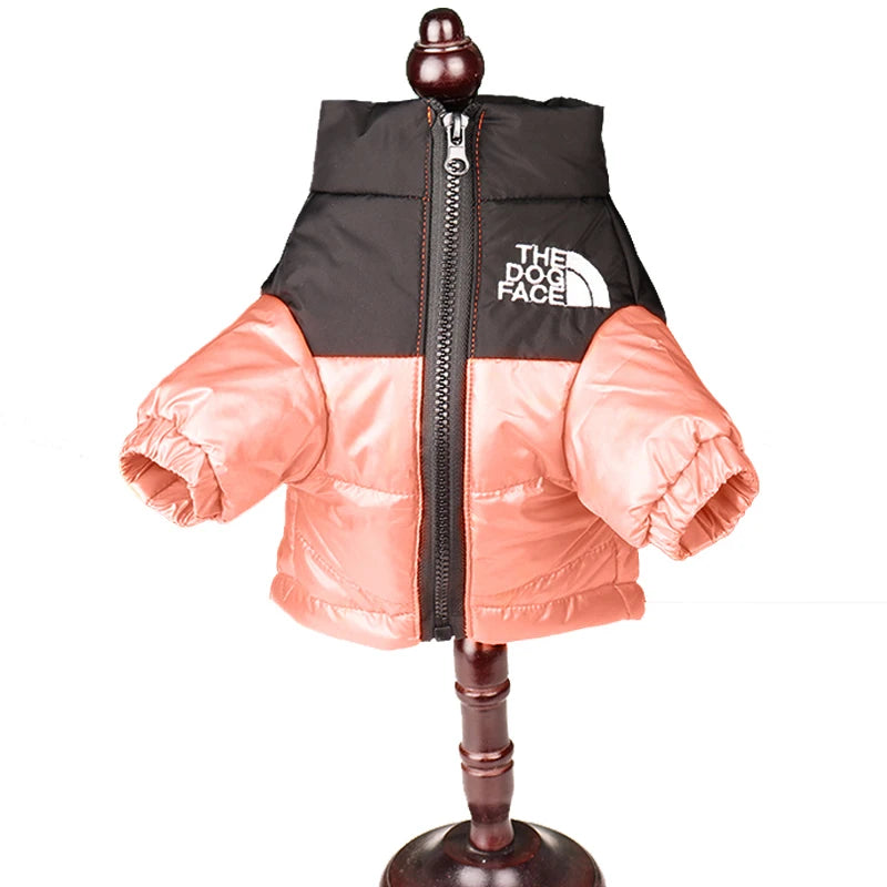 Winter Dog Clothes