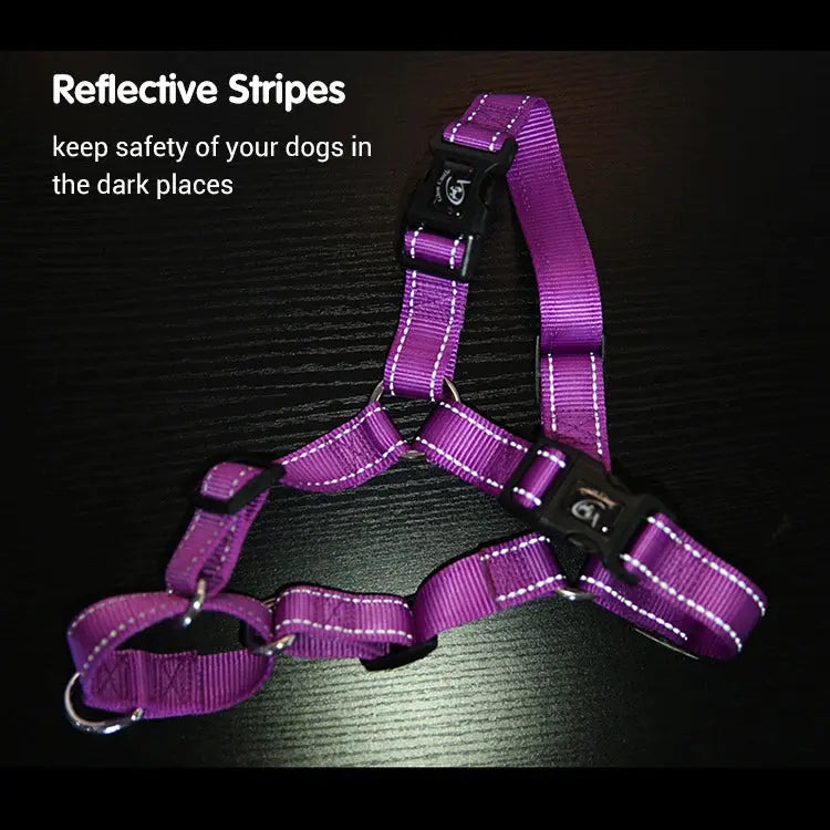proSafe Comfort Halter