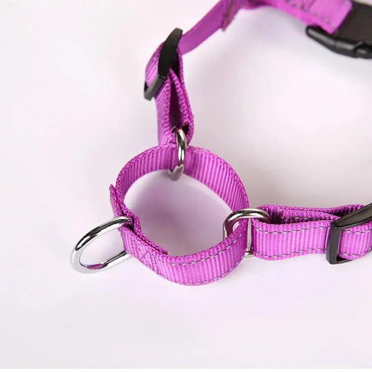 proSafe Comfort Halter