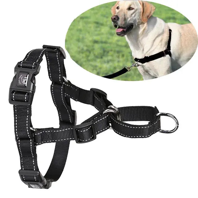 proSafe Comfort Halter