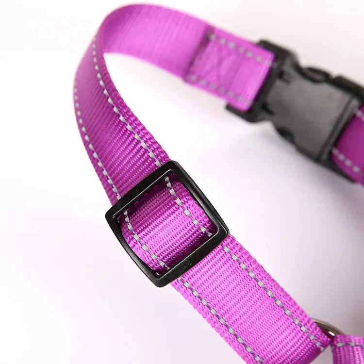 proSafe Comfort Halter