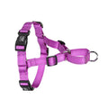 proSafe Comfort Halter