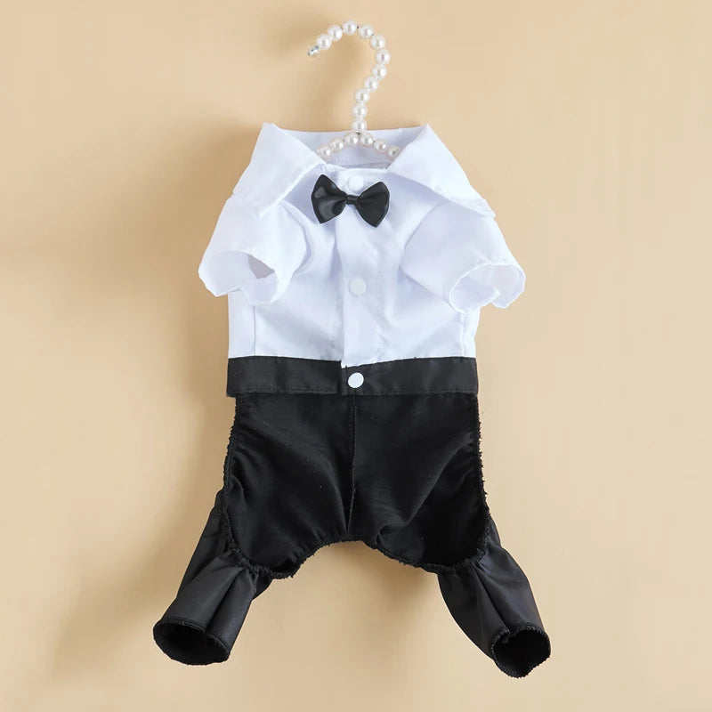 SUIT for Small Dogs/CAT CobraDobra