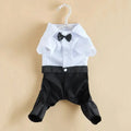 SUIT for Small Dogs/CAT CobraDobra