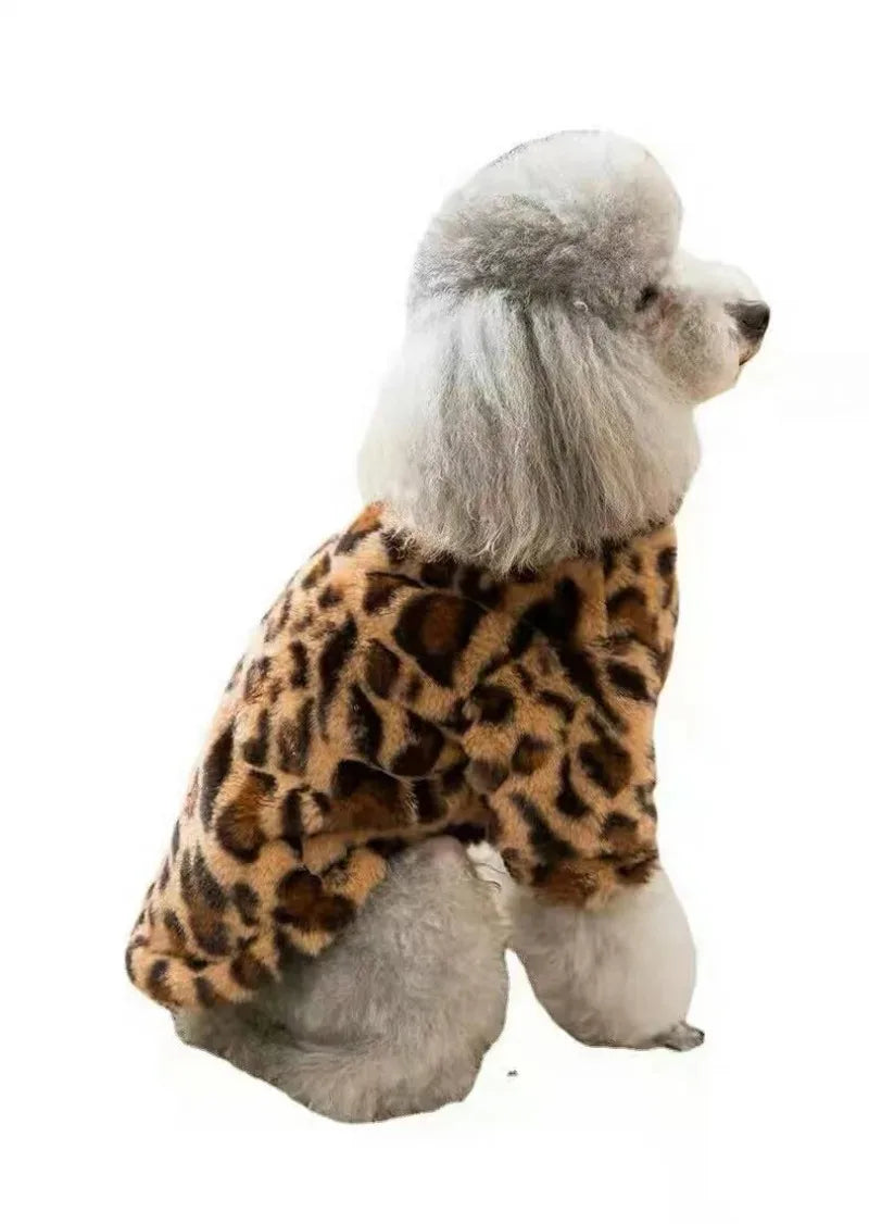 Dogs Coat Leopard