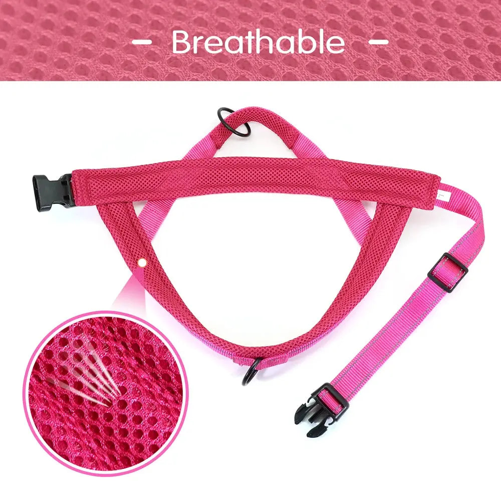 EverGlow Personalized Harness