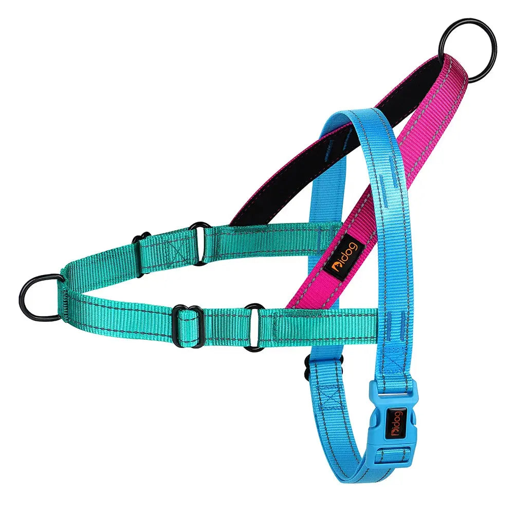 ActiveNight Harness