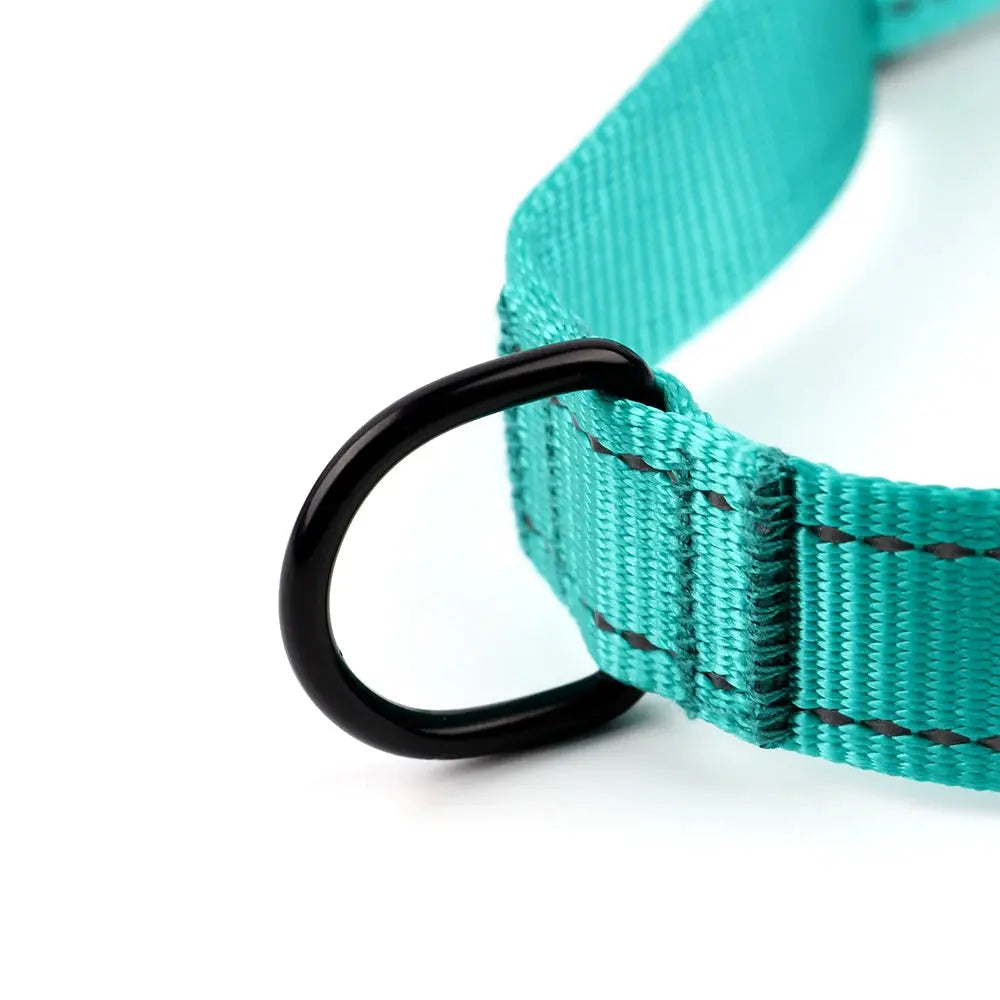 ActiveNight Harness