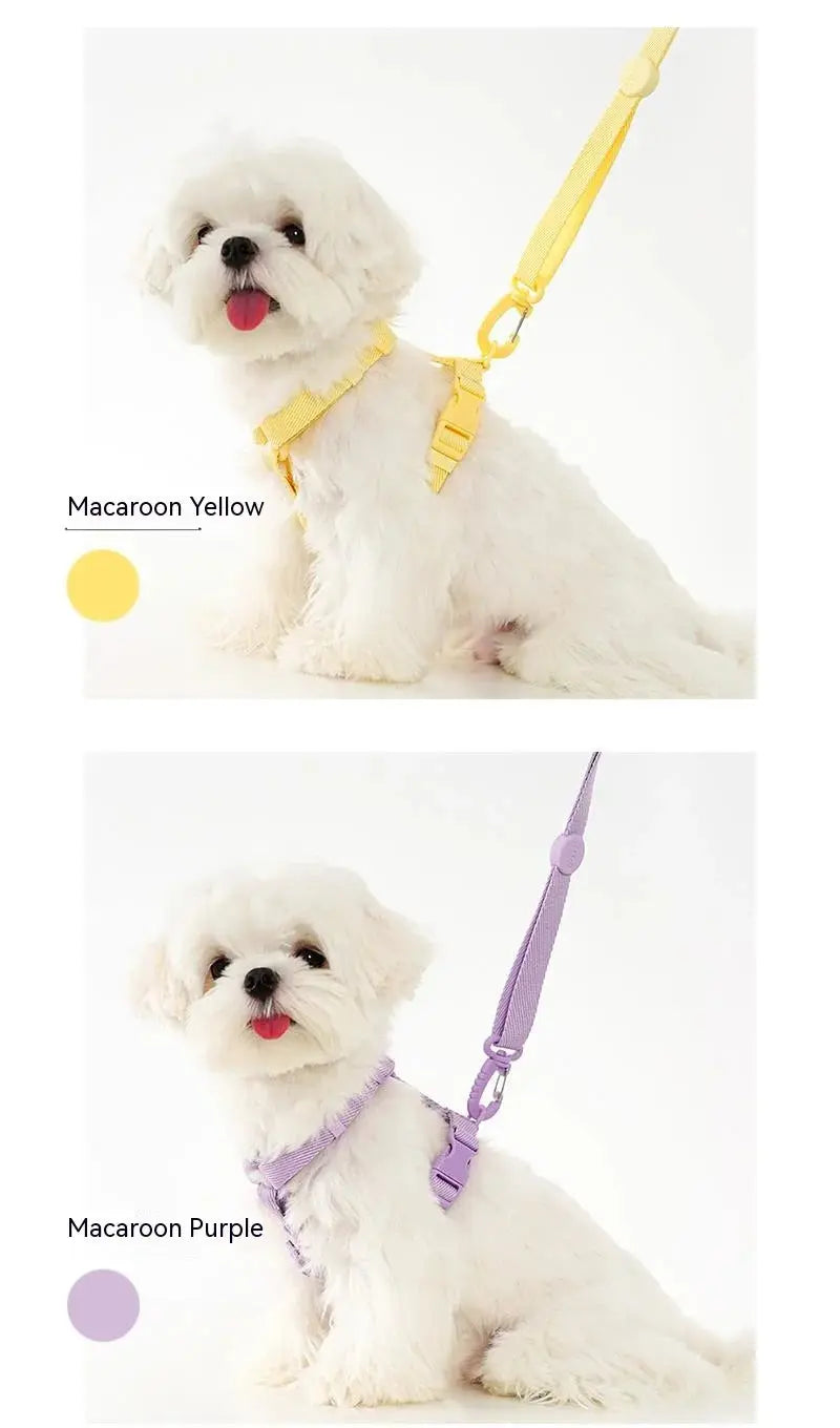 LittleBuddy Essentials