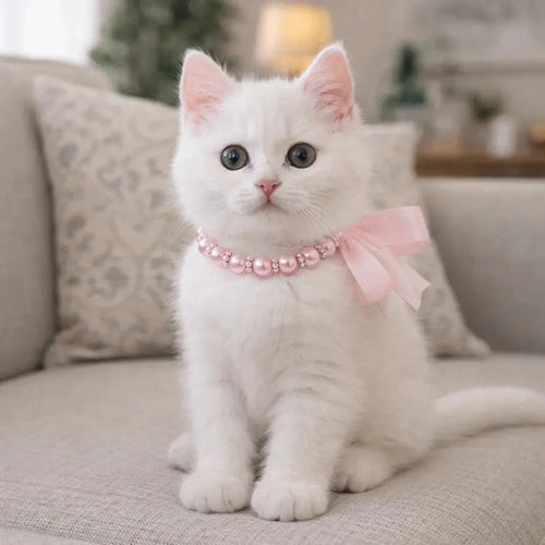 Adjustable Pet Pearl Necklace Bling Simulated Pearl Cat Bead Collar Elegant Bow Knot Ribbon Pet Simulated Pearl Collar CobraDobra