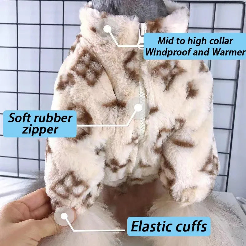 Dogs Coat Leopard