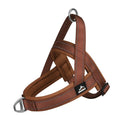 SteadyHalter Harness