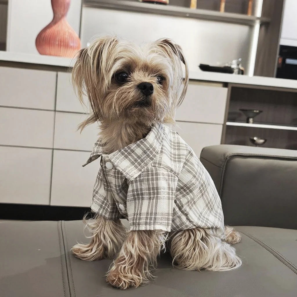 Dog clothes Spring Summer