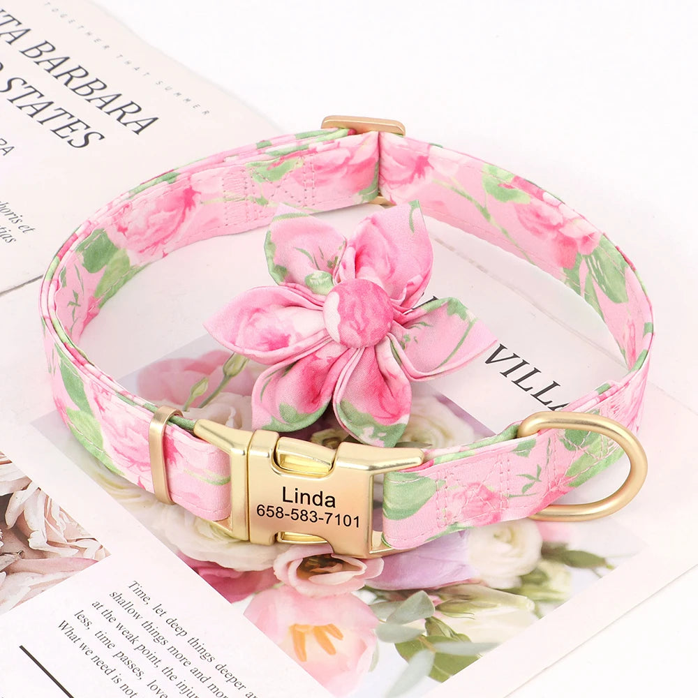 Custom Nylon Dog Collar