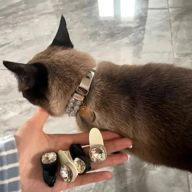 Cat / Dog Collar and Leash Set Pet CobraDobra
