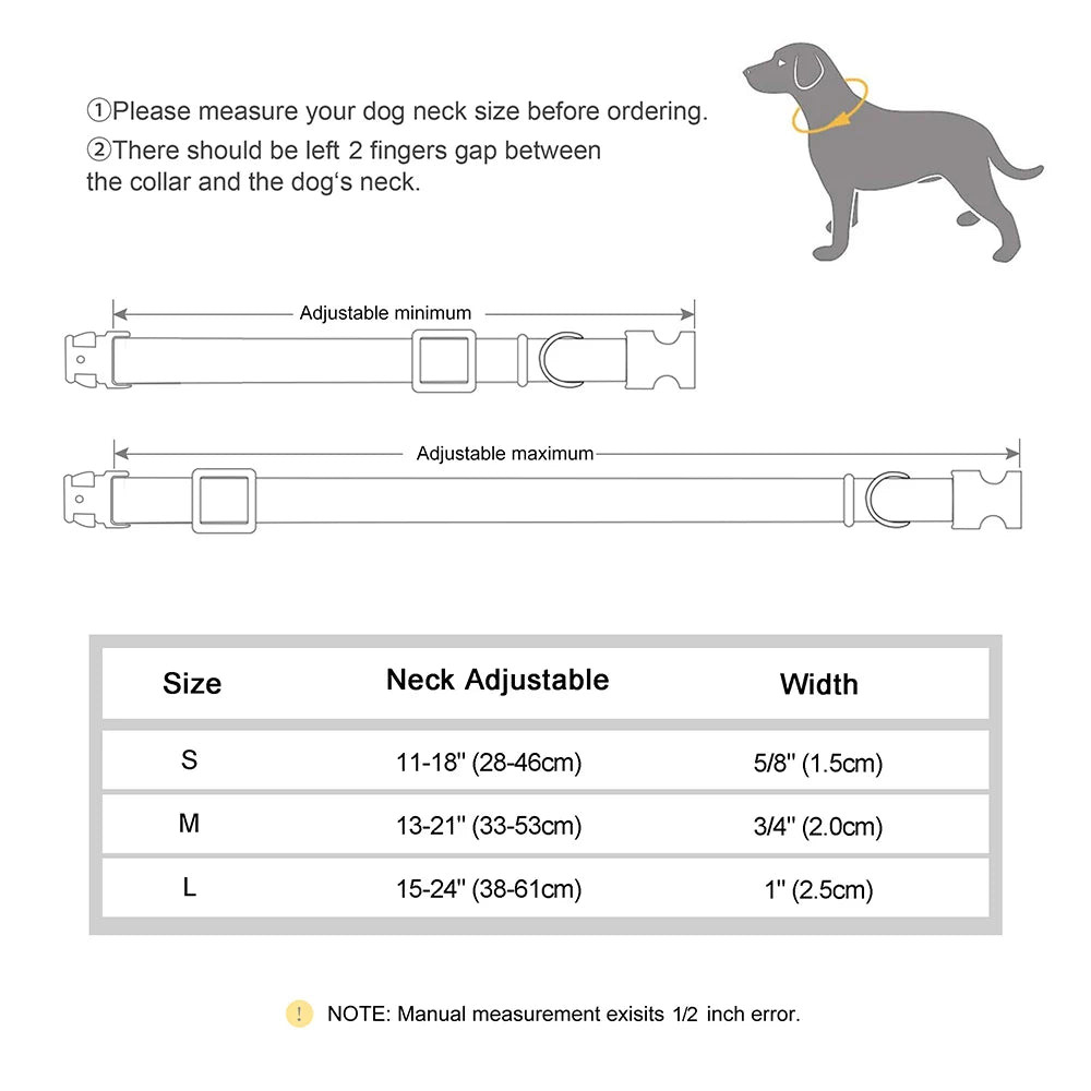 Custom Nylon Dog Collar