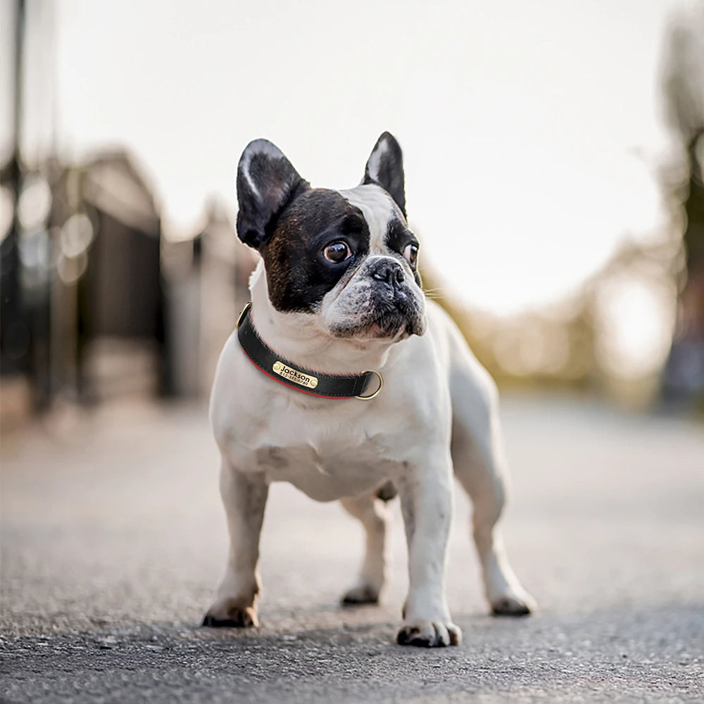 Customized Leather Dog Collar