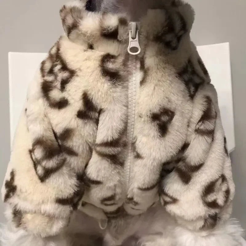 Dogs Coat Leopard