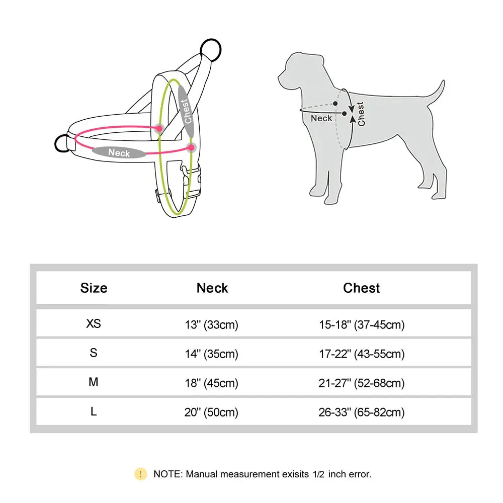 EverGlow Personalized Harness