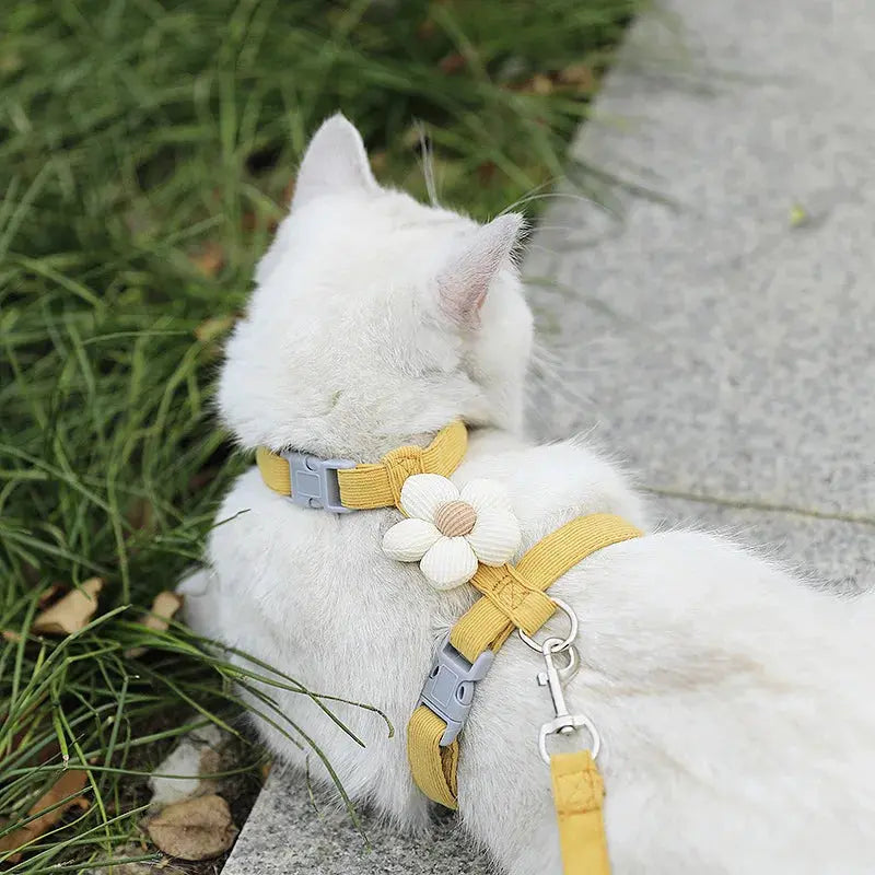 Cat Harness and Leash Sets Adjustable Dog Harness for Small Dog Leash Breashable Pet Harness Out Walking Dog Strap CobraDobra