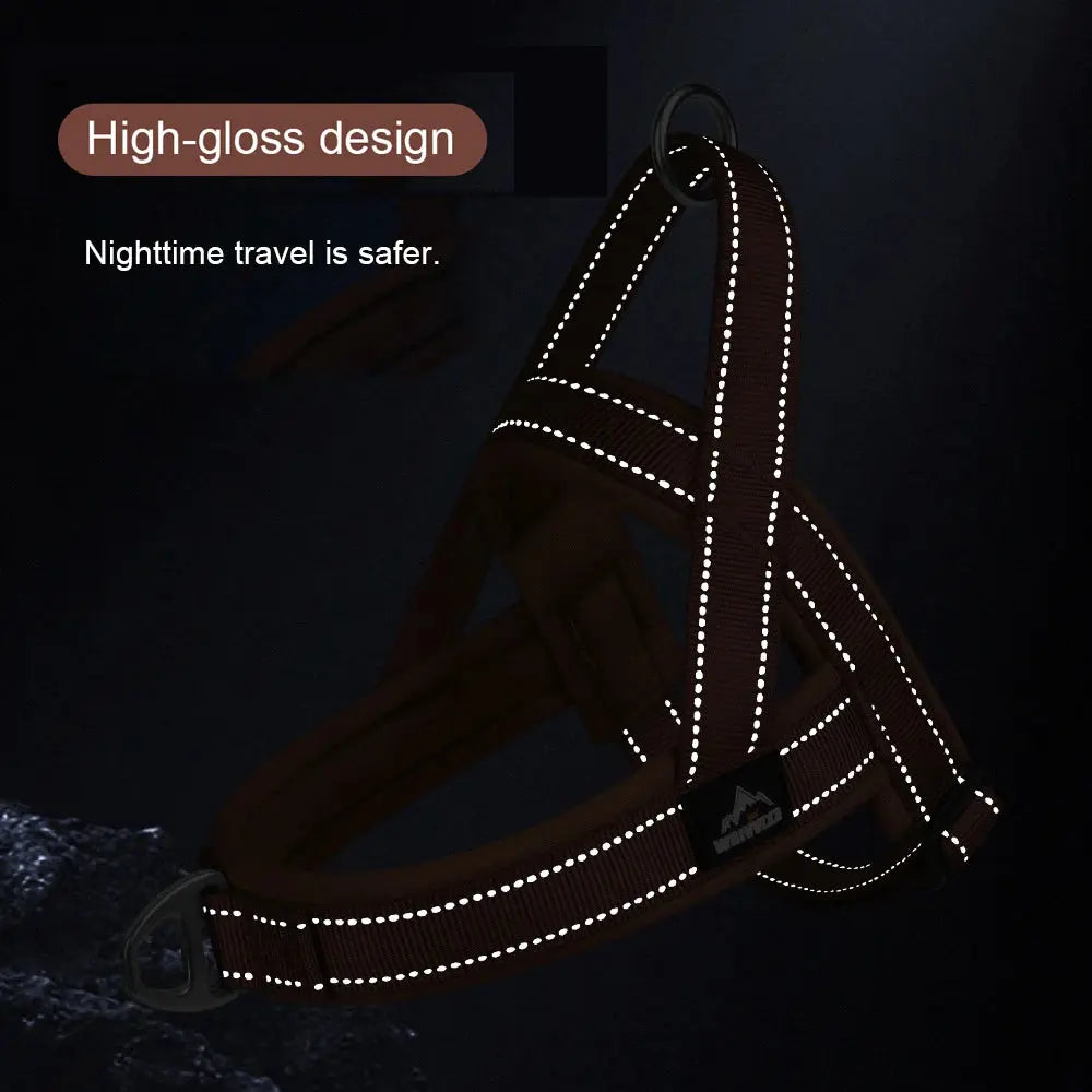 SteadyHalter Harness