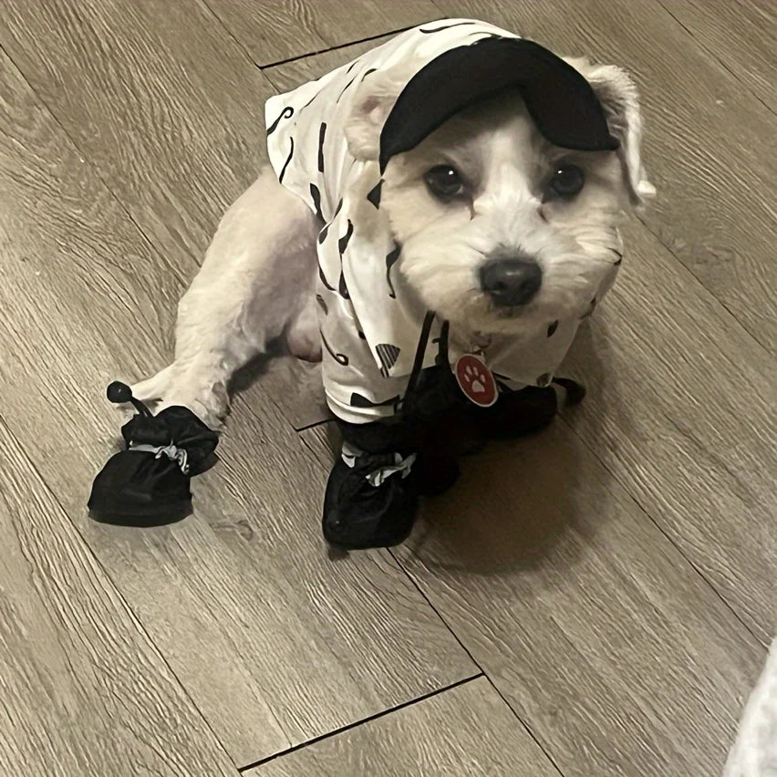 Dog Shoes