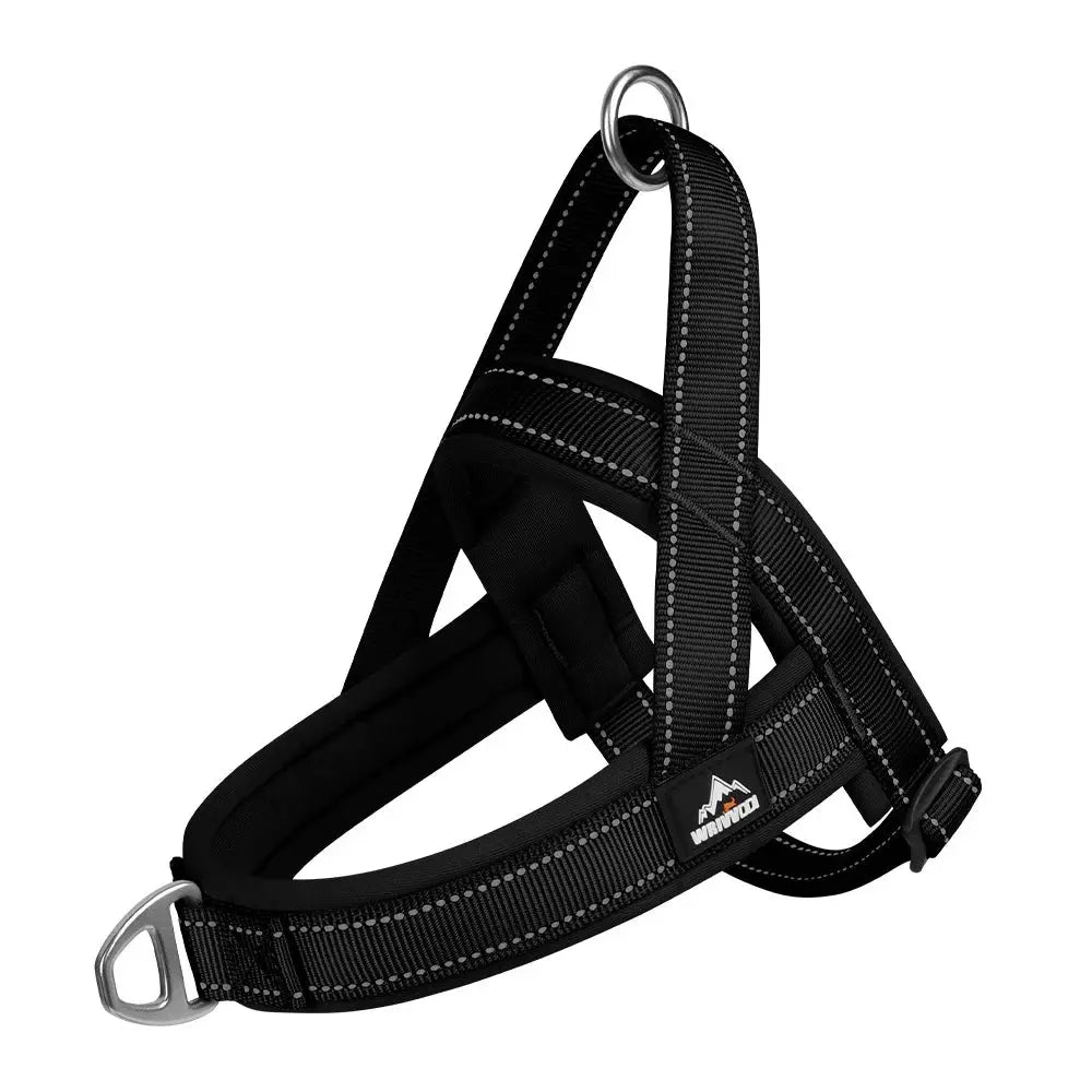 SteadyHalter Harness