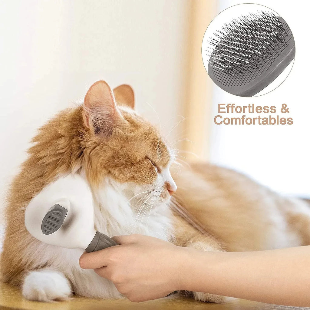 Dog Brush