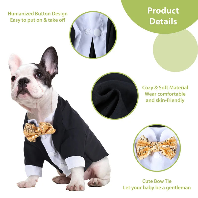 Formal Shirt for Small Dogs