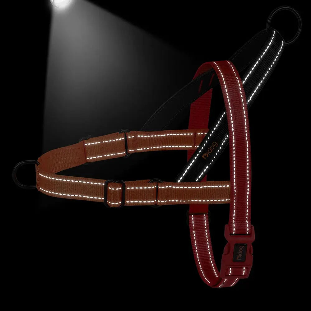 SafeStep Reflective Harness