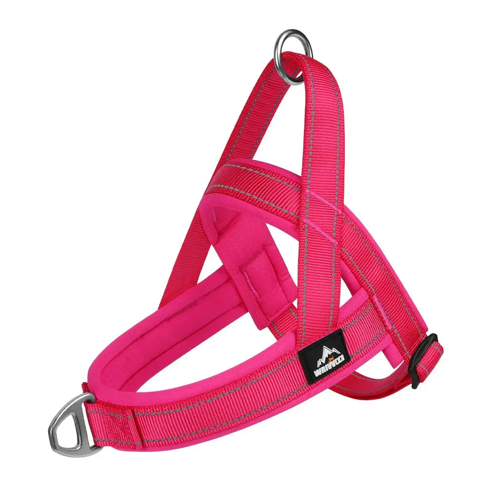 SteadyHalter Harness
