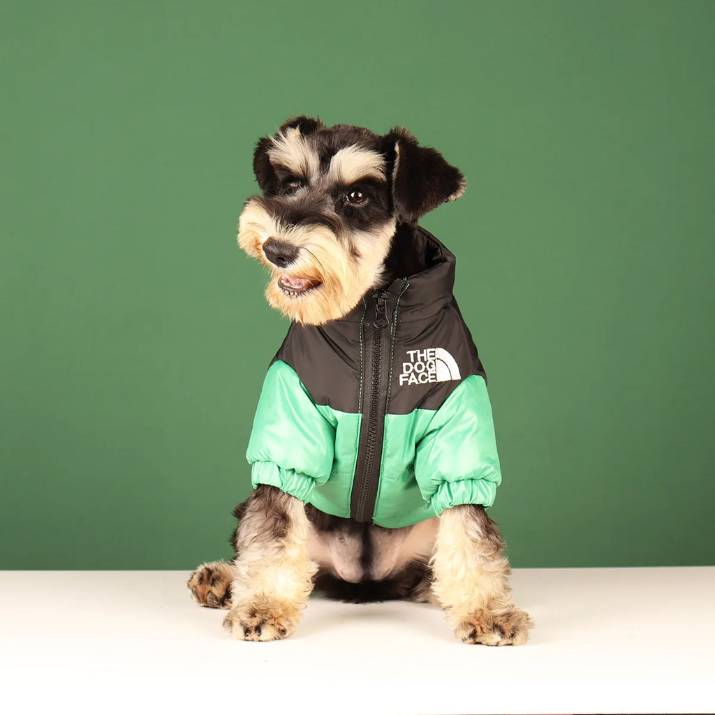 Winter Dog Clothes