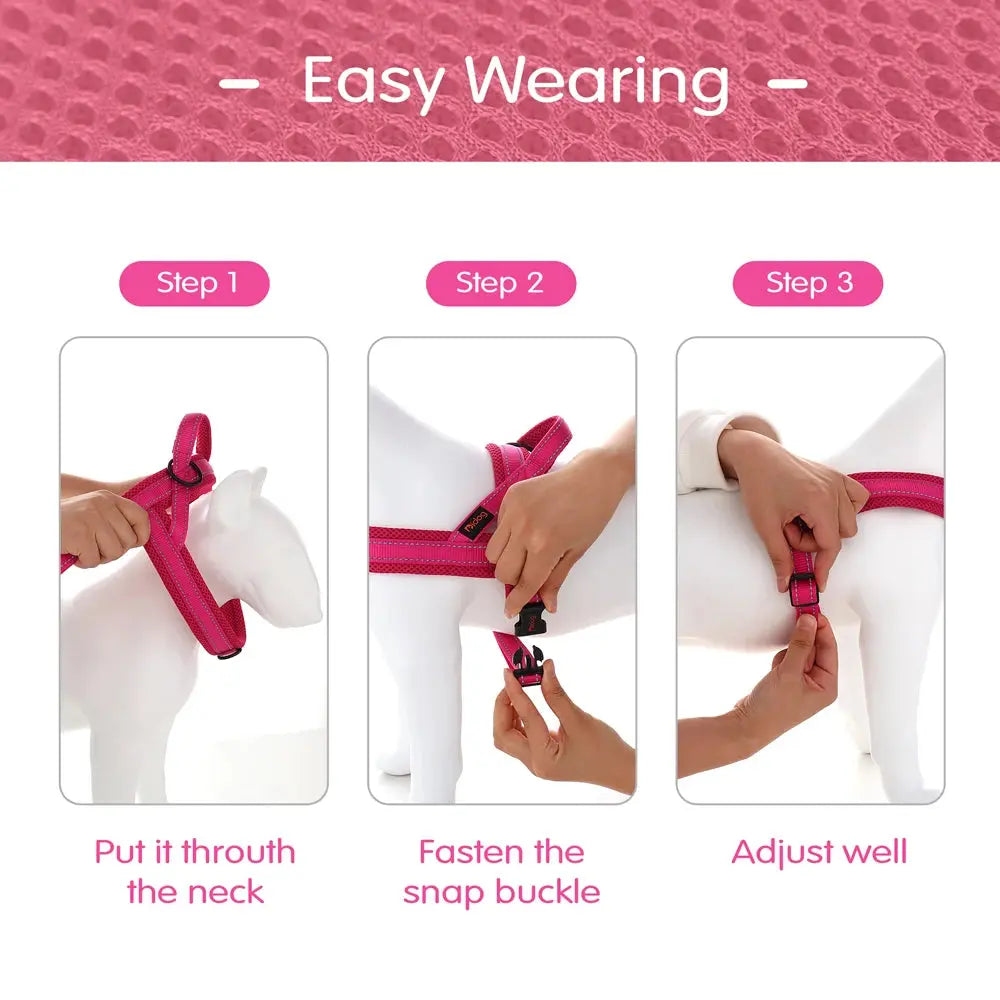 EverGlow Personalized Harness