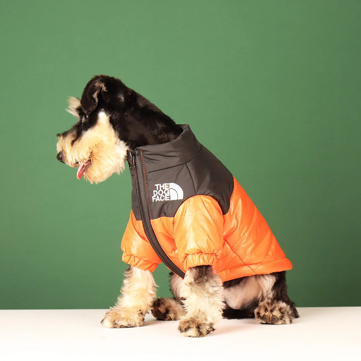 Winter Dog Clothes