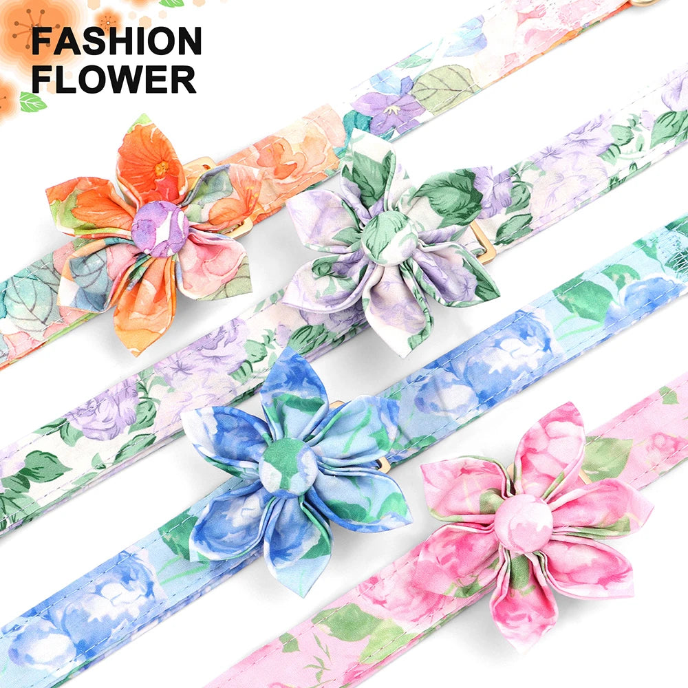 Custom Nylon Dog Collar