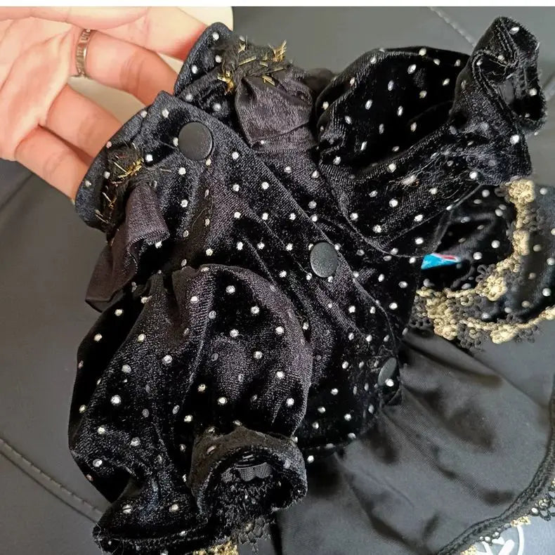 Dog Dress - Velvet Black Gold Fashion Clothing