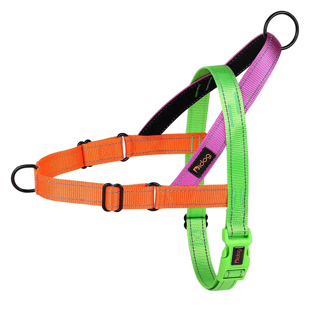 ActiveNight Harness