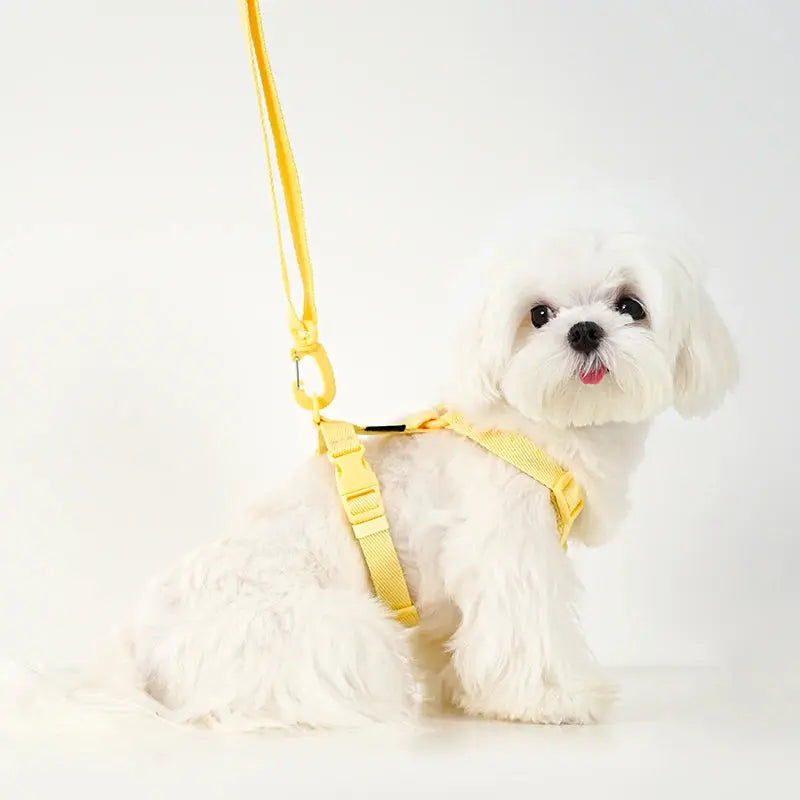 LittleBuddy Essentials