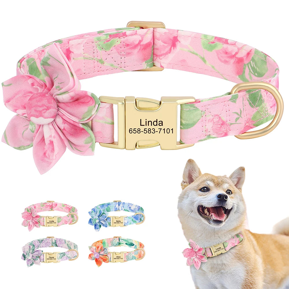 Custom Nylon Dog Collar