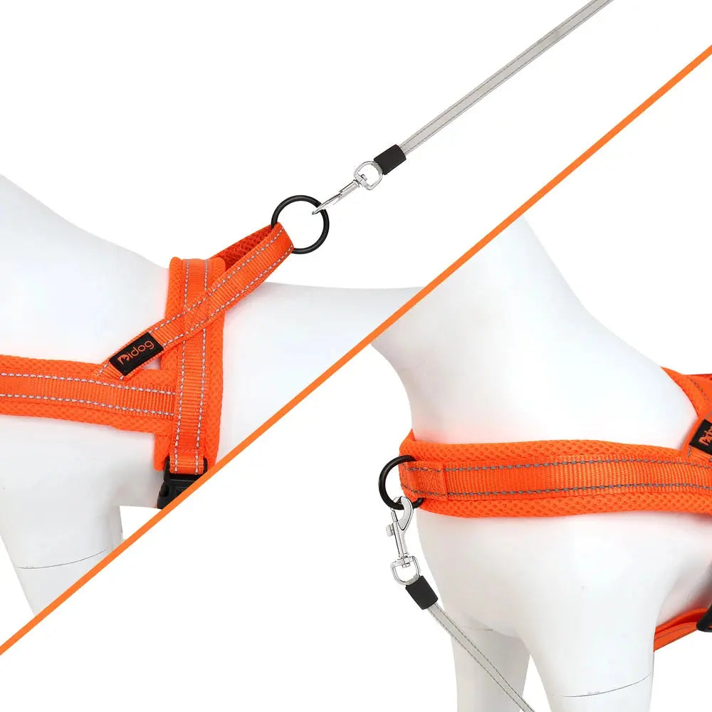 EverGlow Personalized Harness
