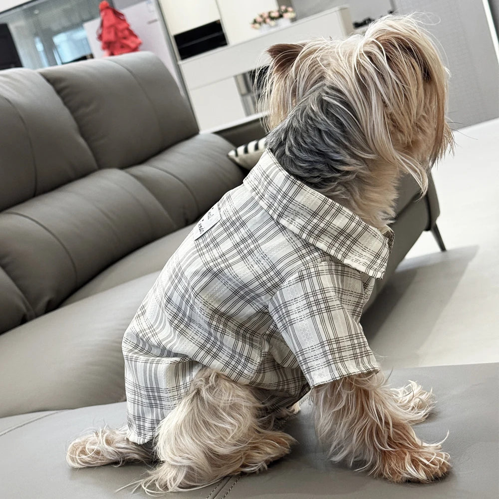 Dog clothes Spring Summer