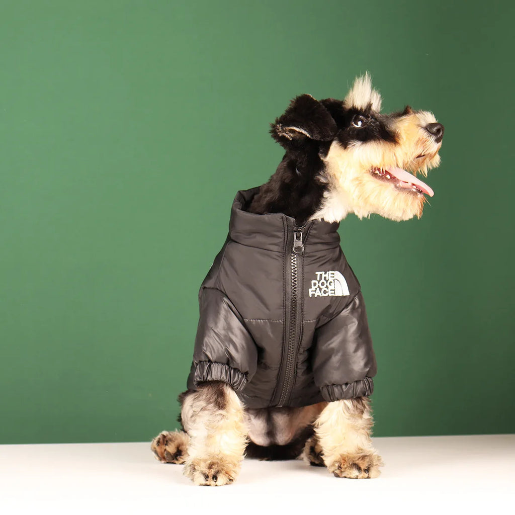 Winter Dog Clothes