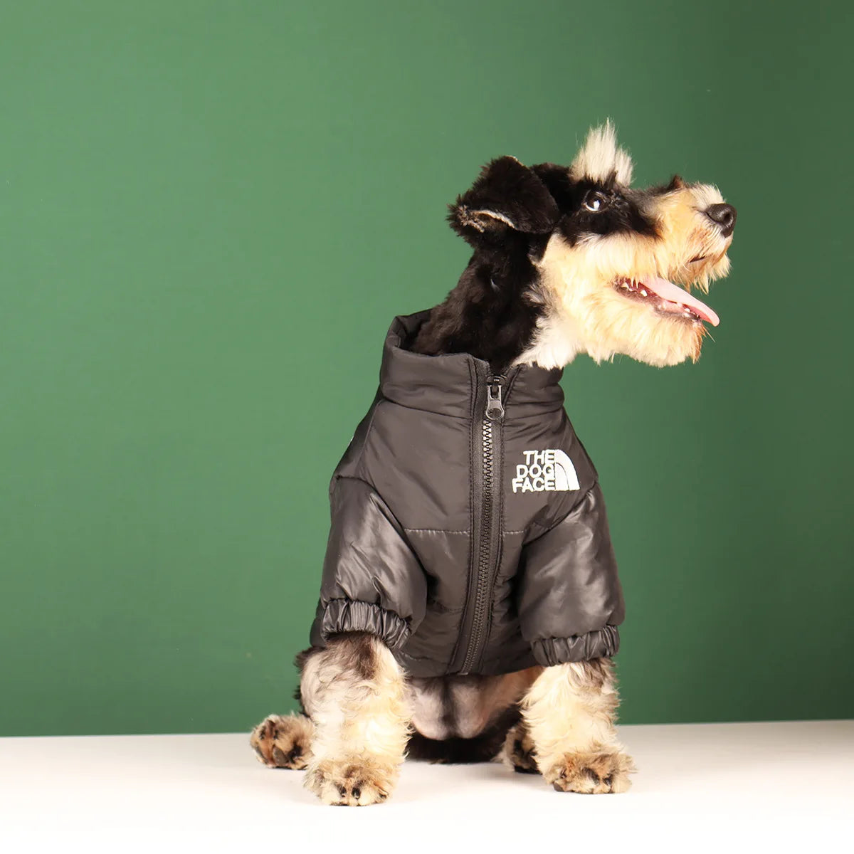 Winter Dog Clothes
