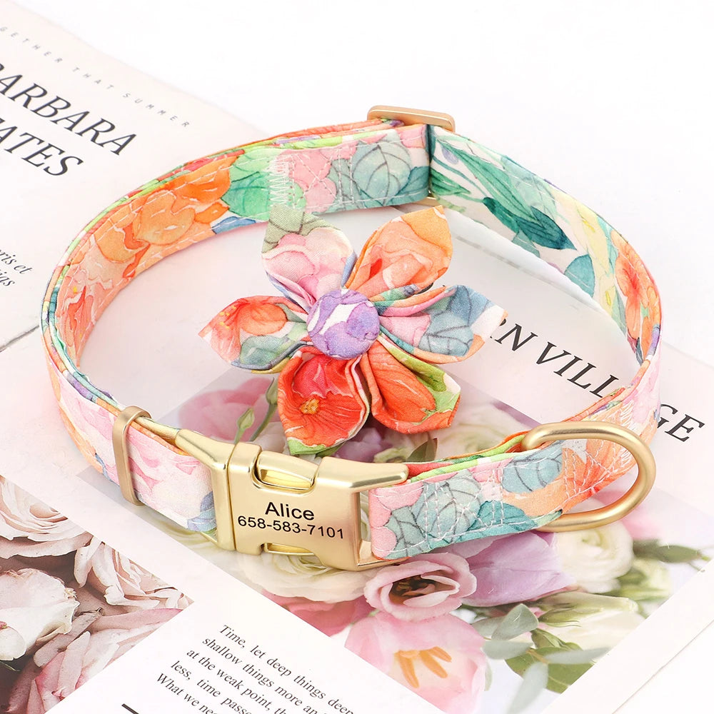 Custom Nylon Dog Collar