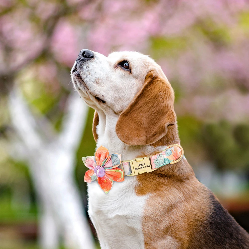 Custom Nylon Dog Collar