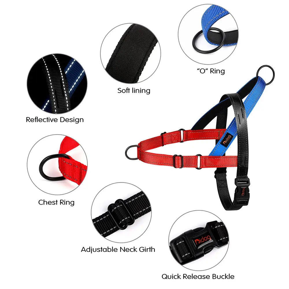 ActiveNight Harness