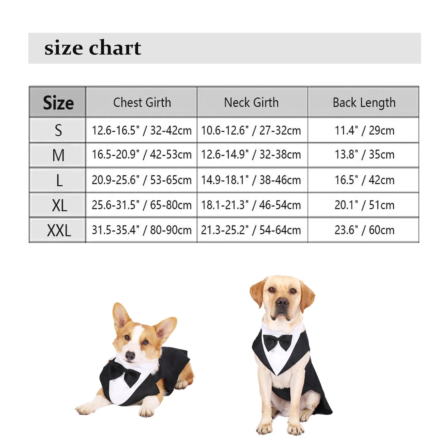 Formal Suit Tie Bow Shirt