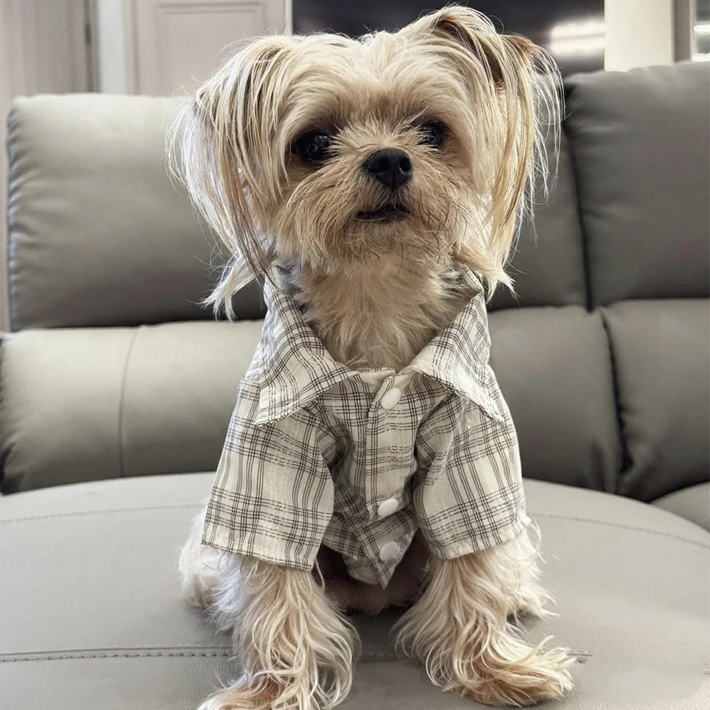 Dog clothes Spring Summer